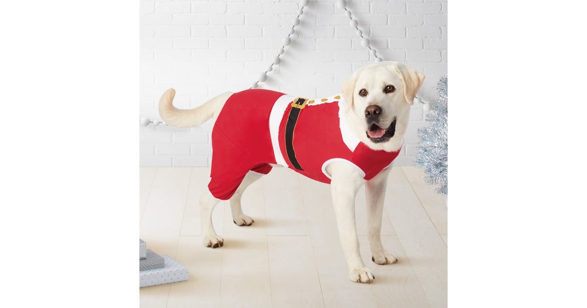 Target Pet Holiday Santa Pajamas Cutest Dog Christmas Pajamas
