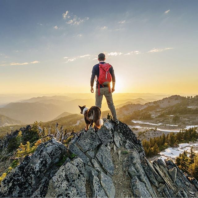 Photos of Dogs Camping