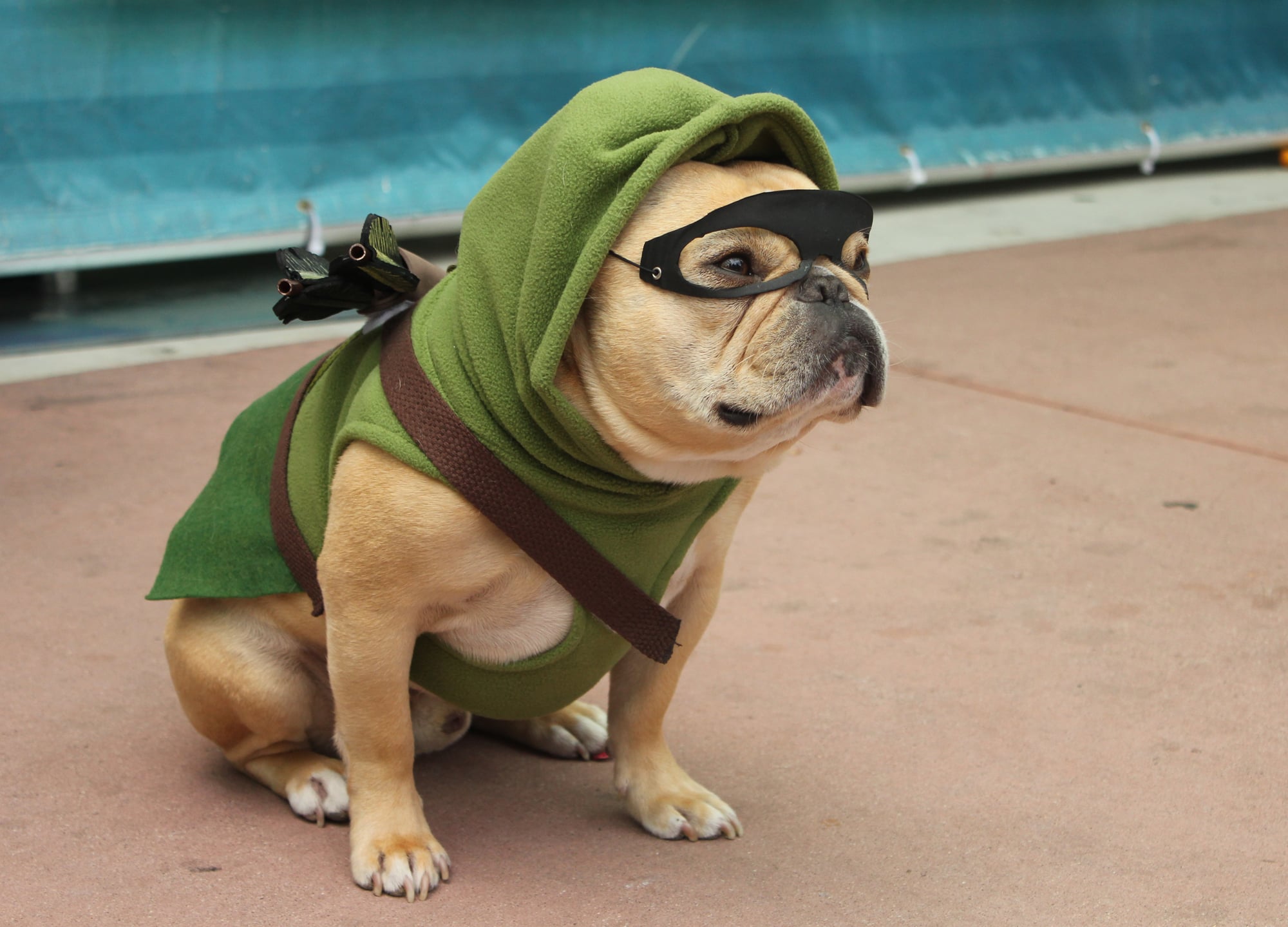 San Diego Comic Con Cosplays 2015 Popsugar Tech