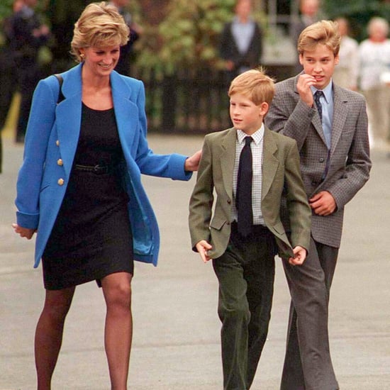 Prince William and Prince Harry Talking About Princess Diana