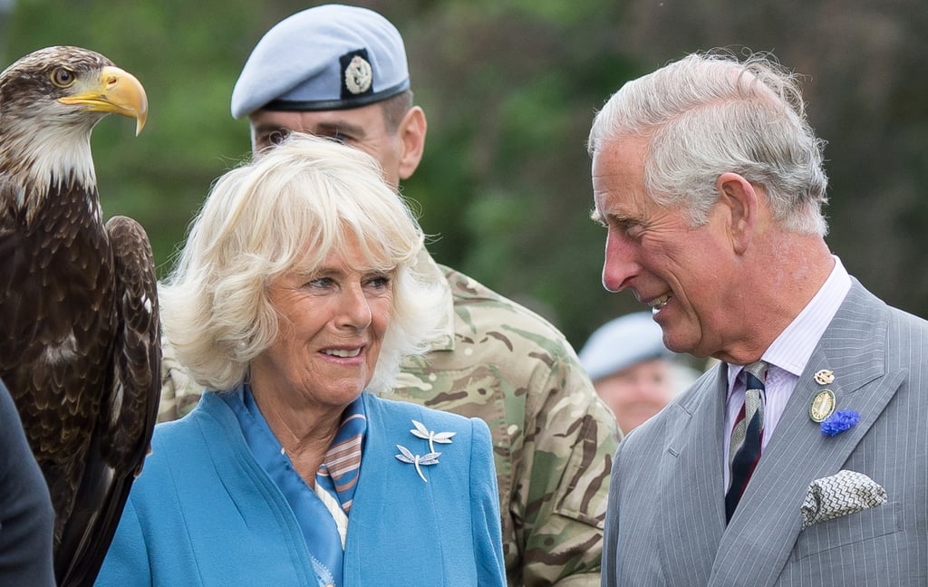 Prince Charles Camilla Freak Out at Eagle