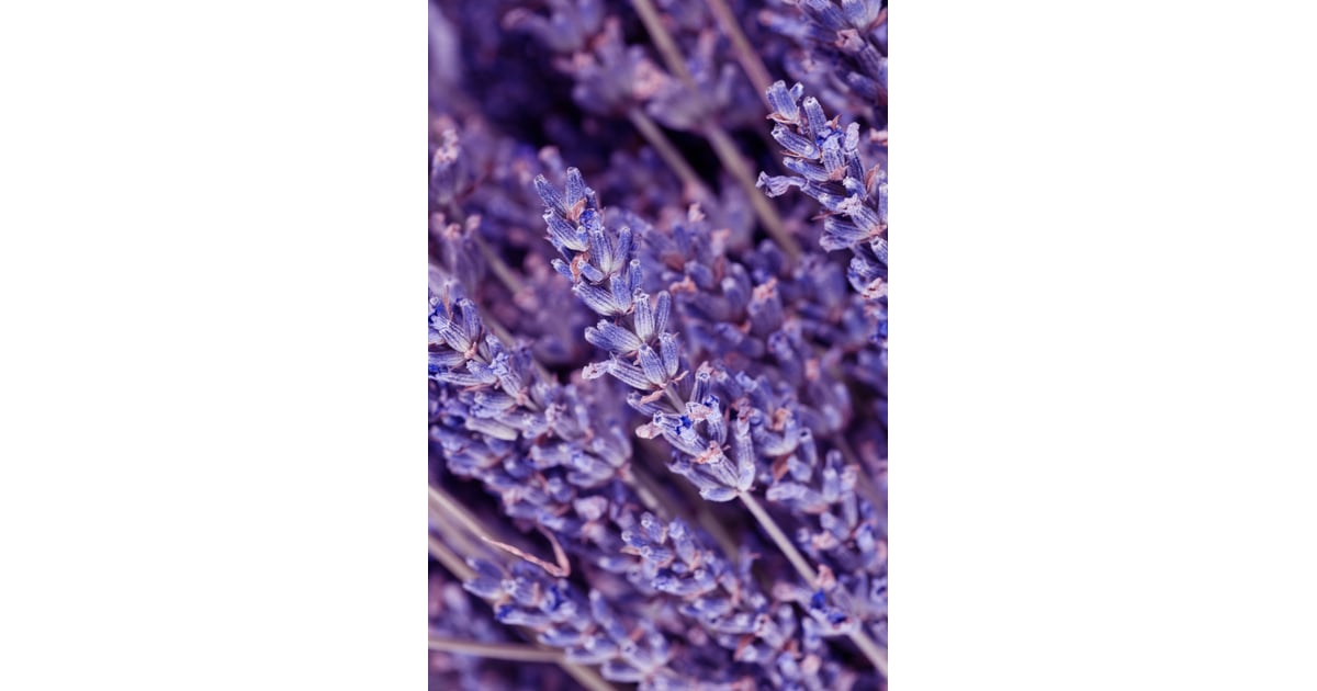 Lavender DIY Treatments For Smelly Feet POPSUGAR Beauty Photo 4
