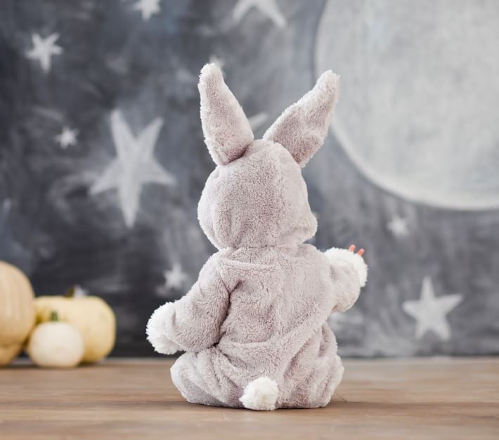 Pottery Barn Costumes For Babies Popsugar Family