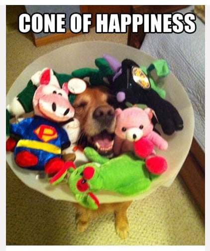 Cone of Happiness