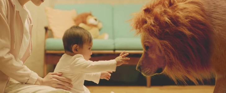 Amazon Japan Video With Dog and Baby