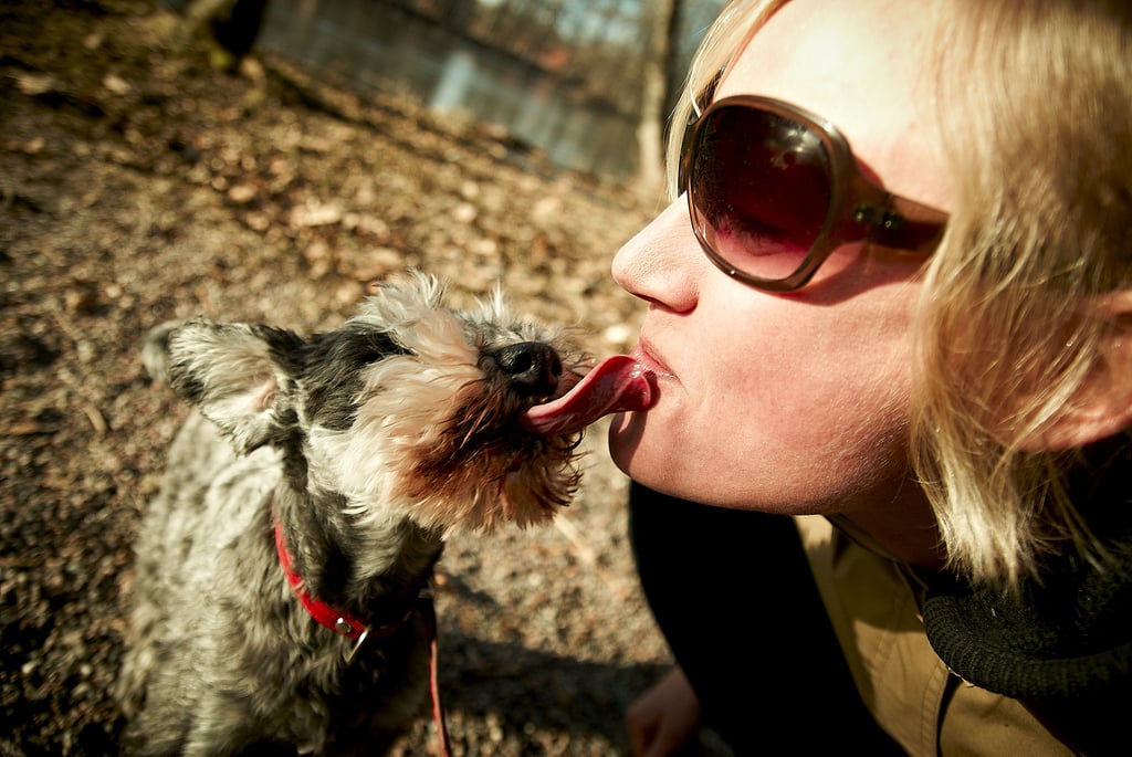 Celebrate Love Your Pet Day
