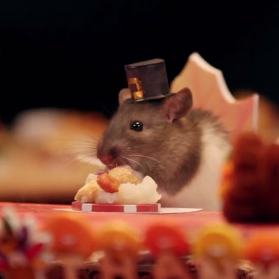 Hamster Eating Tiny Thanksgiving Dinner Video