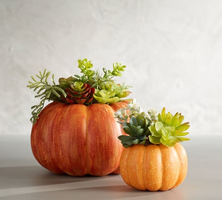 Pottery Barn Succulent in Pumpkin Best Fall Decor POPSUGAR Home