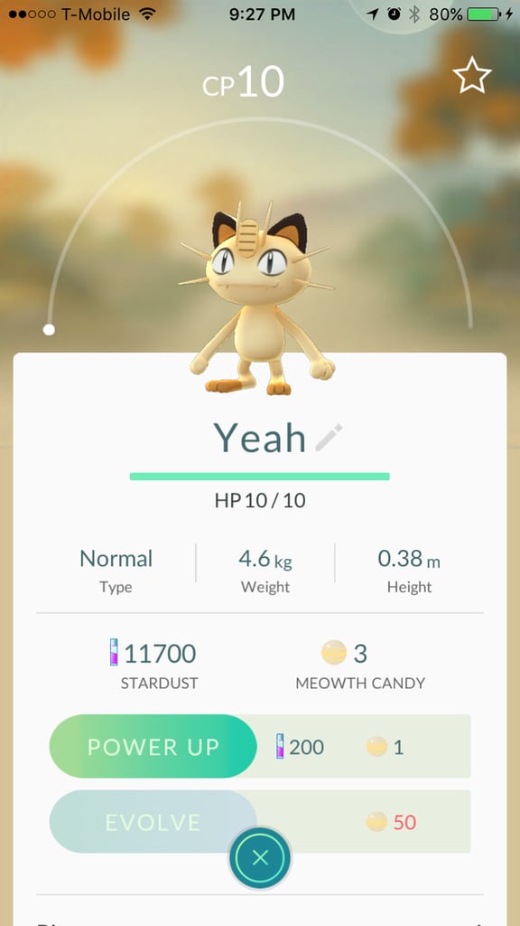 Meowth aka "Yeah"