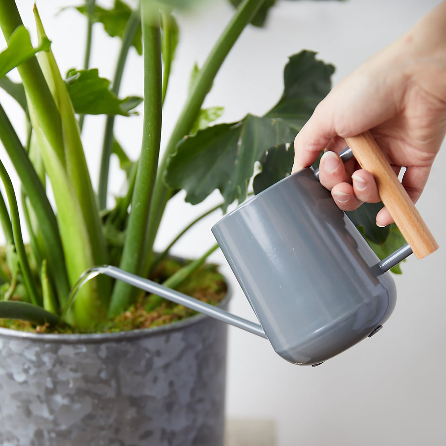 Best Gardening Gifts 2019 Popsugar Home Australia