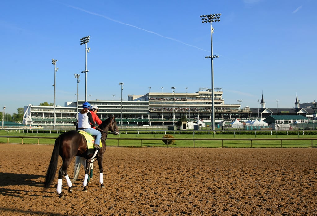 Kentucky Derby Horses 2015 POPSUGAR Pets