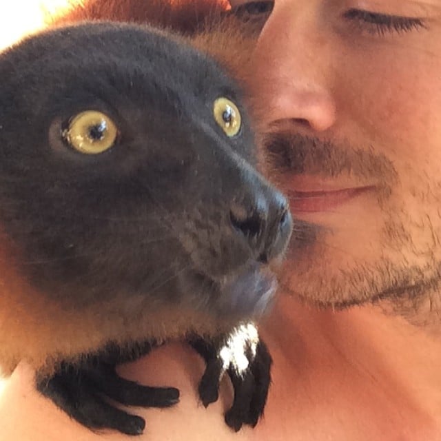 The Lemur Selfie