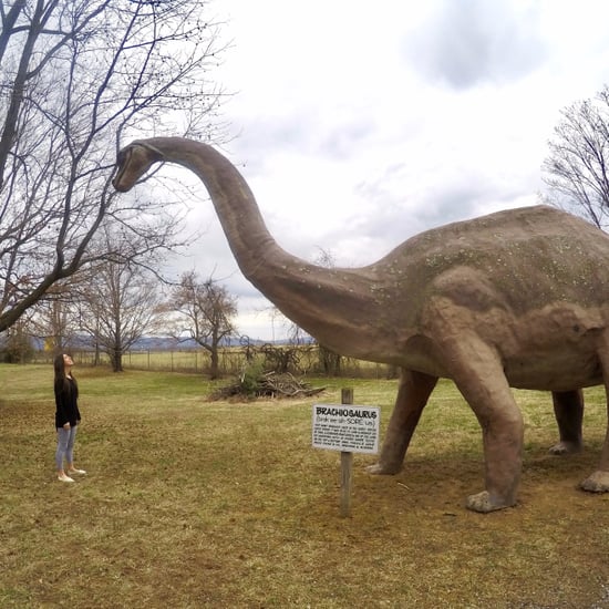 What Is Dinosaur Land?