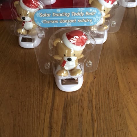 When your pets are just as excited about Christmas as you.