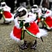 Santa Penguins in Japan