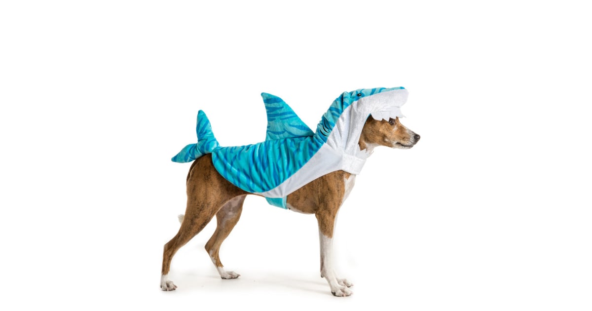 Shark (10) PetSmart Dog Halloween Costumes 2016 POPSUGAR Pets Photo 8