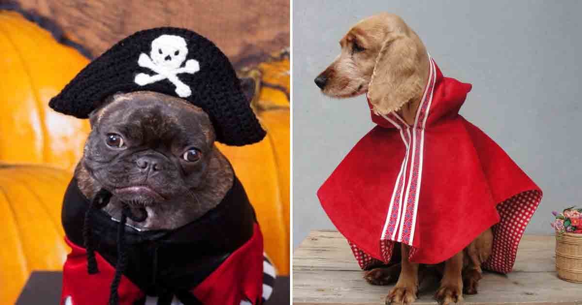 Best Dog Costumes on Etsy POPSUGAR Pets