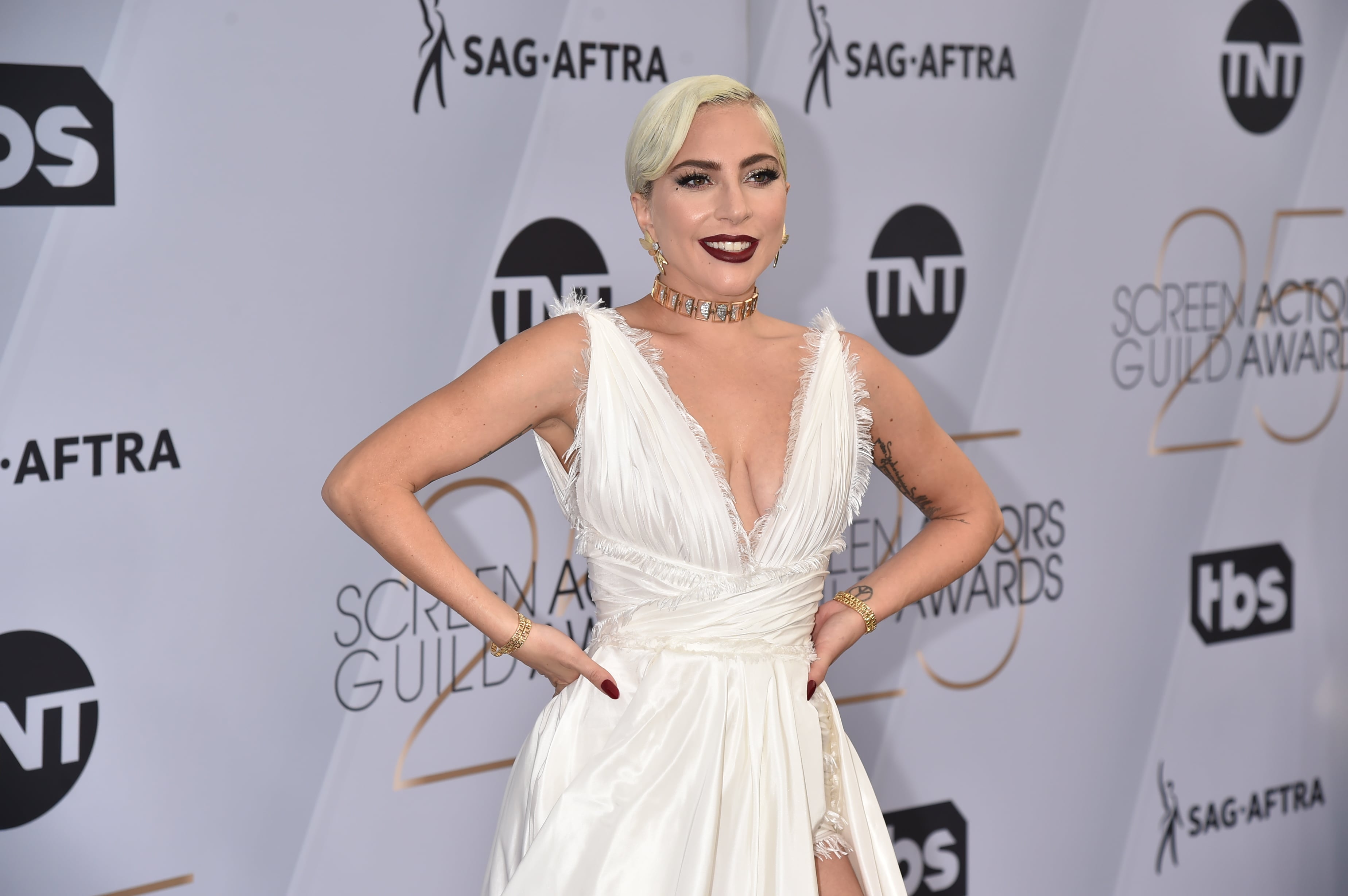 Lady gaga top dior