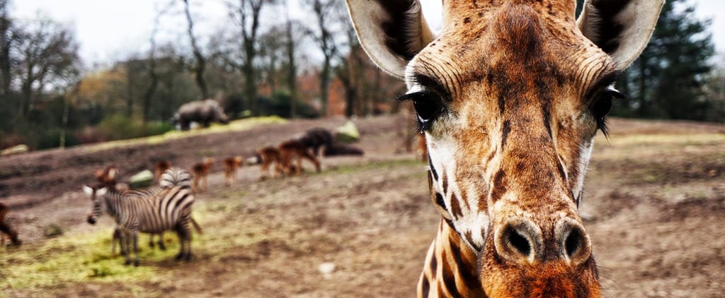 10 Mind-Boggling Facts That You Probably Don't Know
