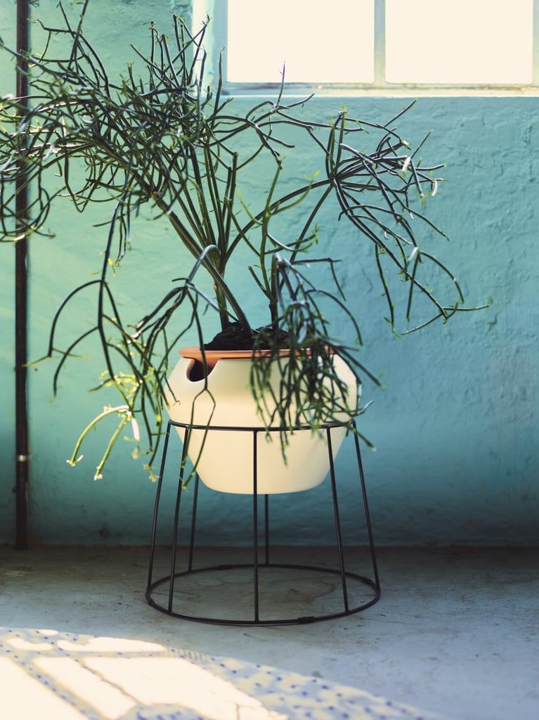 Three-piece self-watering plant pot ($25) Three-piece self-watering plant pot ($25)