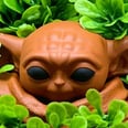 We Have 4 Words For You: Baby Yoda Chia Pets!