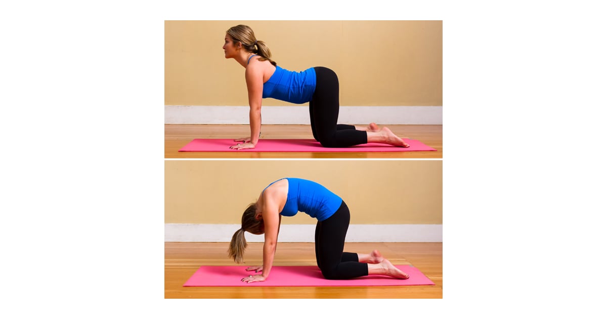 How to Do Cat to Cow Pose | POPSUGAR Fitness