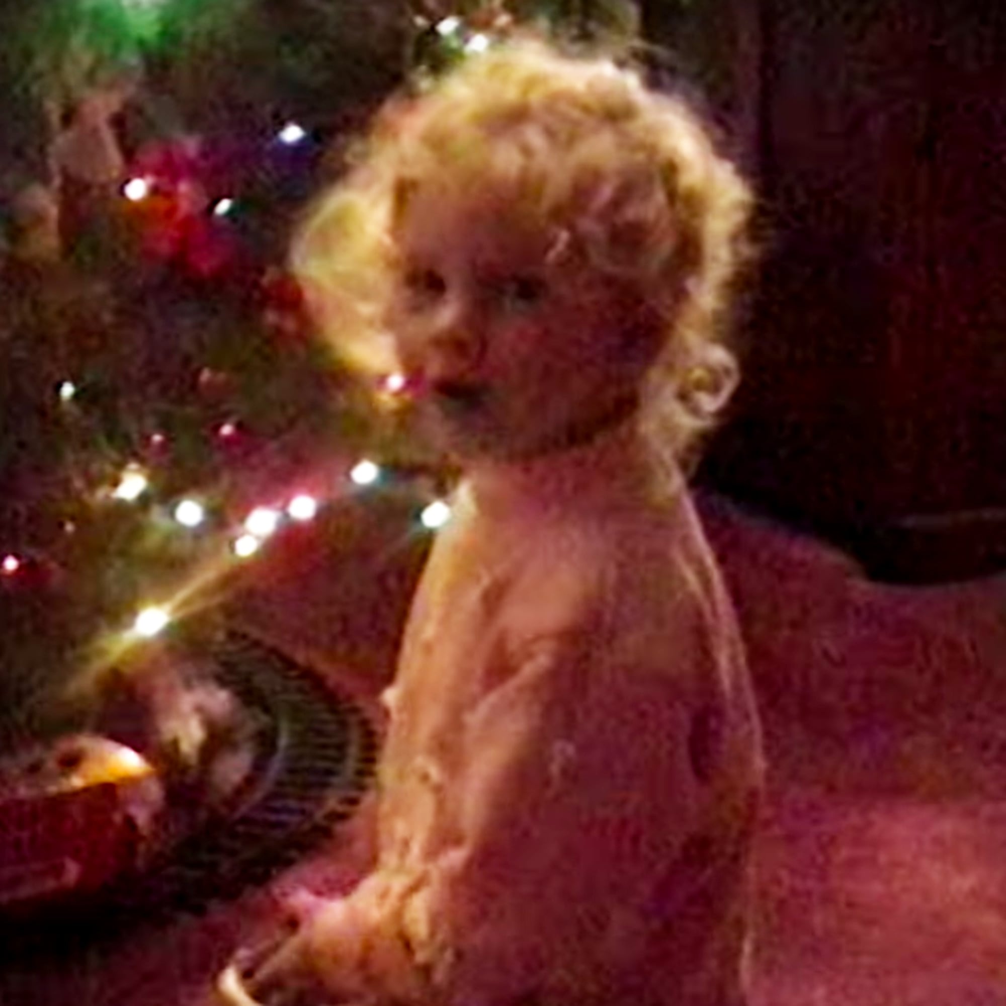 Taylor Swift Christmas Tree Farm Music Video Popsugar