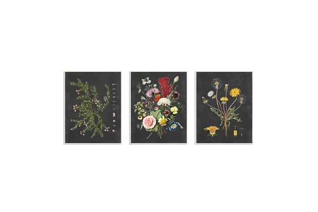 Botanical Chalkboard Flowers Wall Art Set