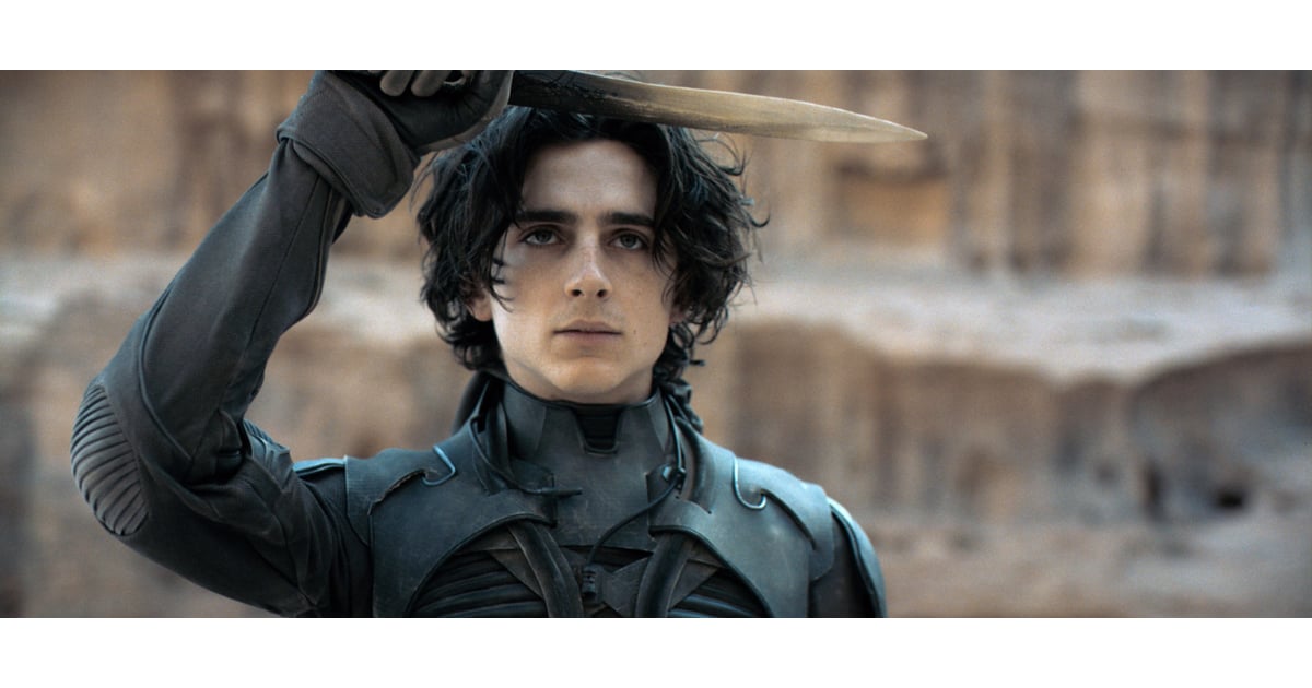 Jamis and Paul's Fight Sequence Dune Book vs. Movie Differences POPSUGAR Entertainment Photo 10