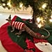 Lizard in Christmas Outfit