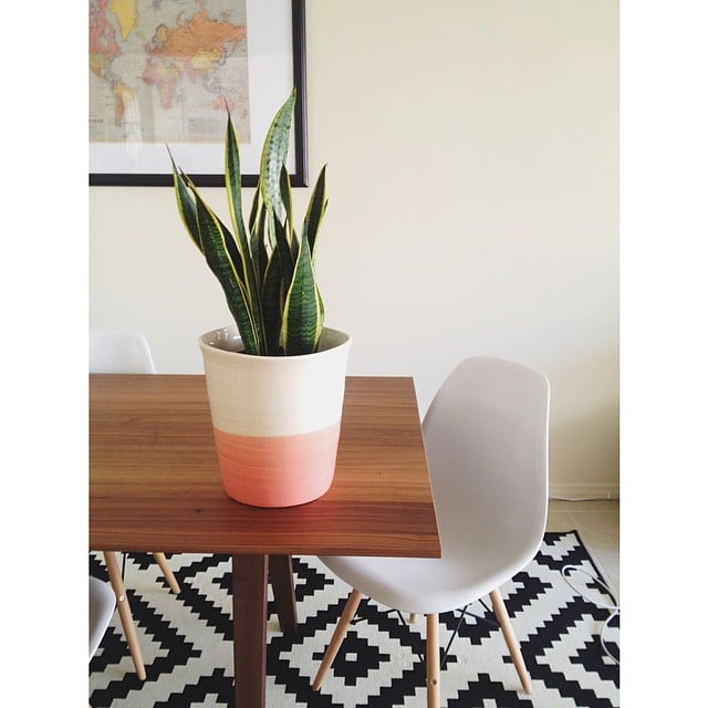 The find a dipdyed pot. HomeGoods Decor POPSUGAR Home Photo 48