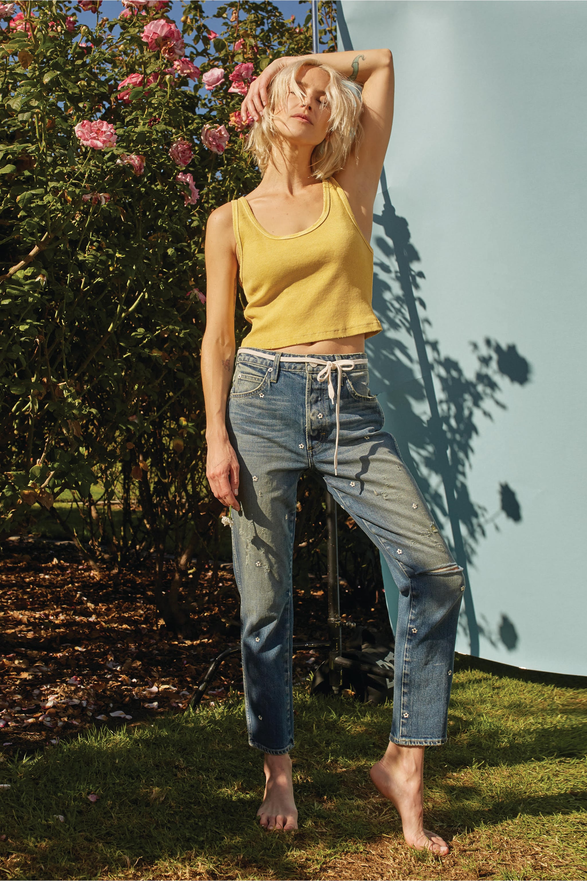Amo chloe sales crop