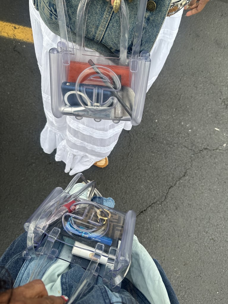 A Clear Bag