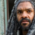 The Walking Dead: This Is Where King Ezekiel's Storyline Will Eventually Go