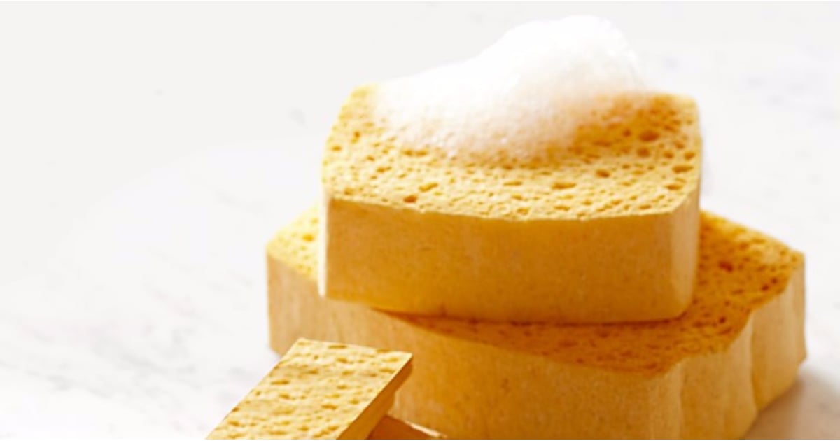 How Often Should You Replace Sponges? POPSUGAR Food