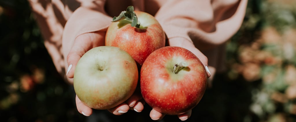 What You Need to Know About Apple Picking Amid COVID-19