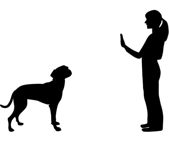 wait dog hand signal