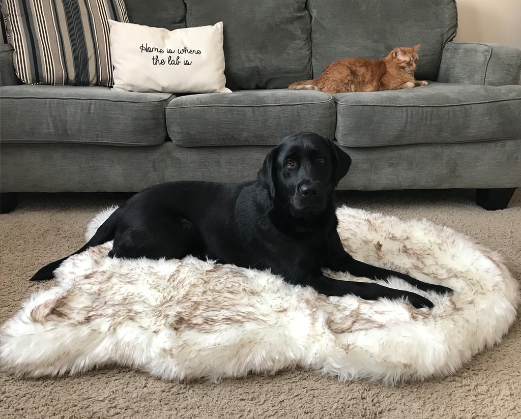 Paw.com PupRug Faux Fur Orthopedic Dog