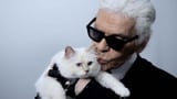 Karl Lagerfeld's Cat | Video