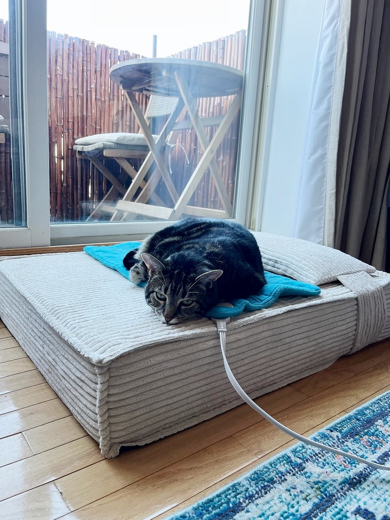 Buffy Pet Bed in Bone Corduroy, Small Size