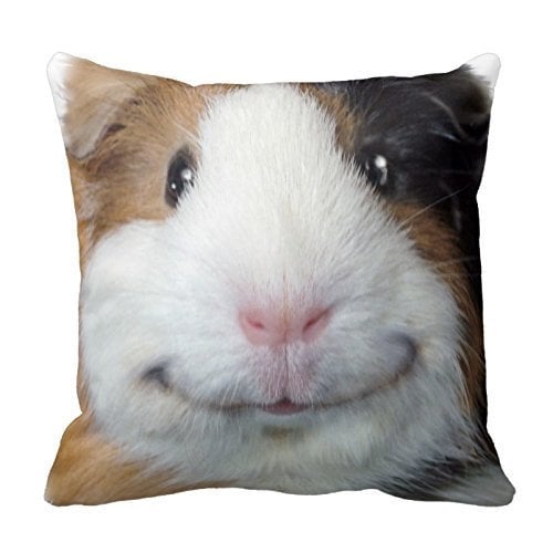 Smiling Guinea Pig Cotton Square Throw Pillow Case Cushion Cover