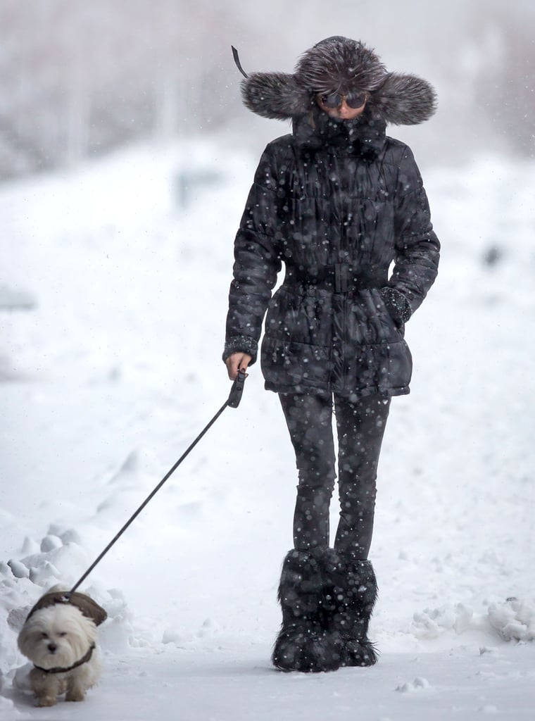 On Monday, Olivia Palermo braved the snow to walk her dog.