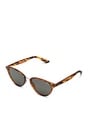 Quay Rumours Tortoiseshell Sunglasses