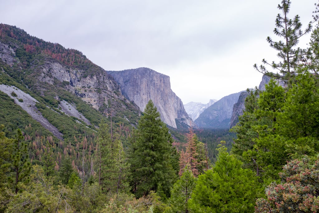 Yosemite National Park