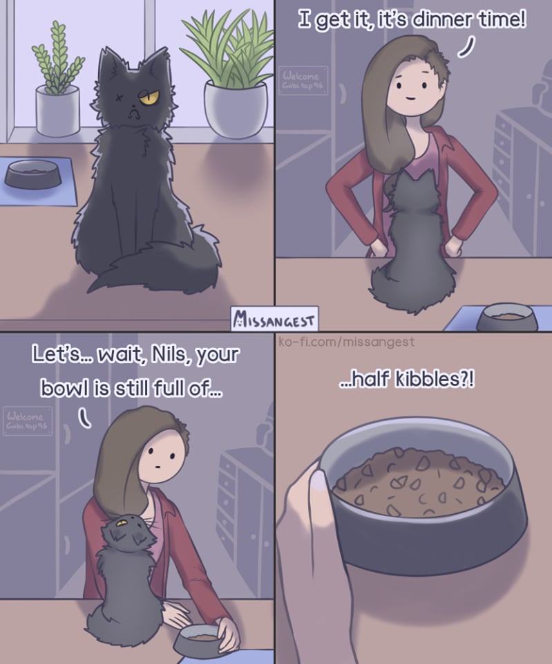 Artist's Comics on What It's Like to Have a Cat or Dog