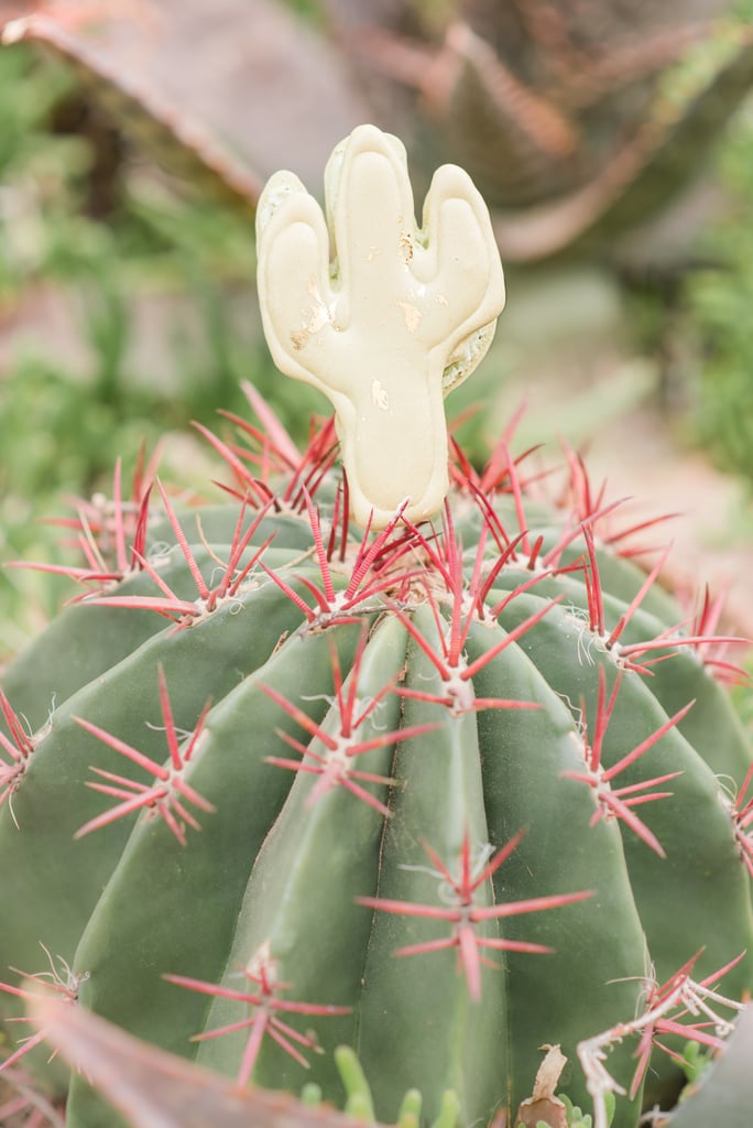 cactus themed baby stuff