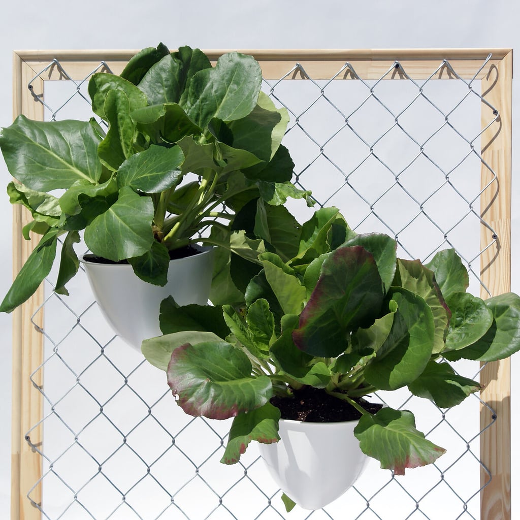 Vertical Urban Garden Planters - Set of 5