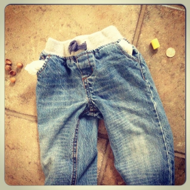 The Acorn Collector's Pocket