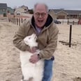 This Deaf and Blind Dog's Reunion With Her Grandpa After a Year Apart Will Have You Crying in the Club