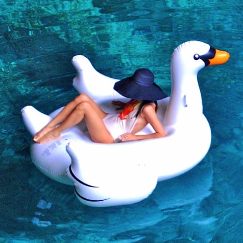 Why the Giant Inflatable Swan Is the Most Stylish Pool Float